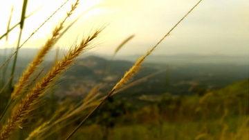 风景视频爆料大全最新版,风景视频爆料大全最新版全景呈现 第1张 风景视频爆料大全最新版,风景视频爆料大全最新版全景呈现 第1张